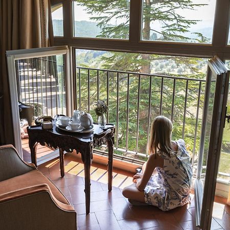 Torre A Cona Wine Estate Hotel San Donato in Collina Eksteriør billede