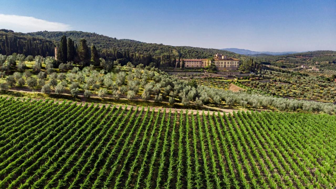 Torre A Cona Wine Estate Hotel San Donato in Collina Eksteriør billede