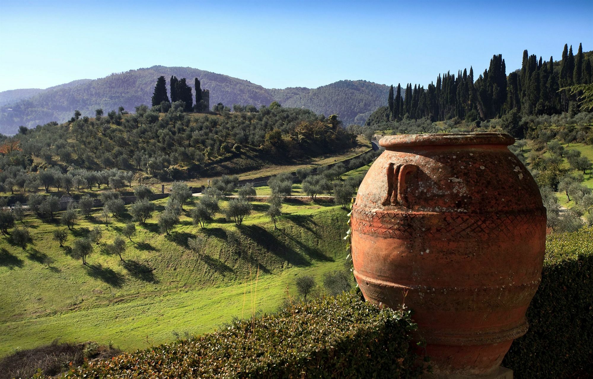 Torre A Cona Wine Estate Hotel San Donato in Collina Eksteriør billede