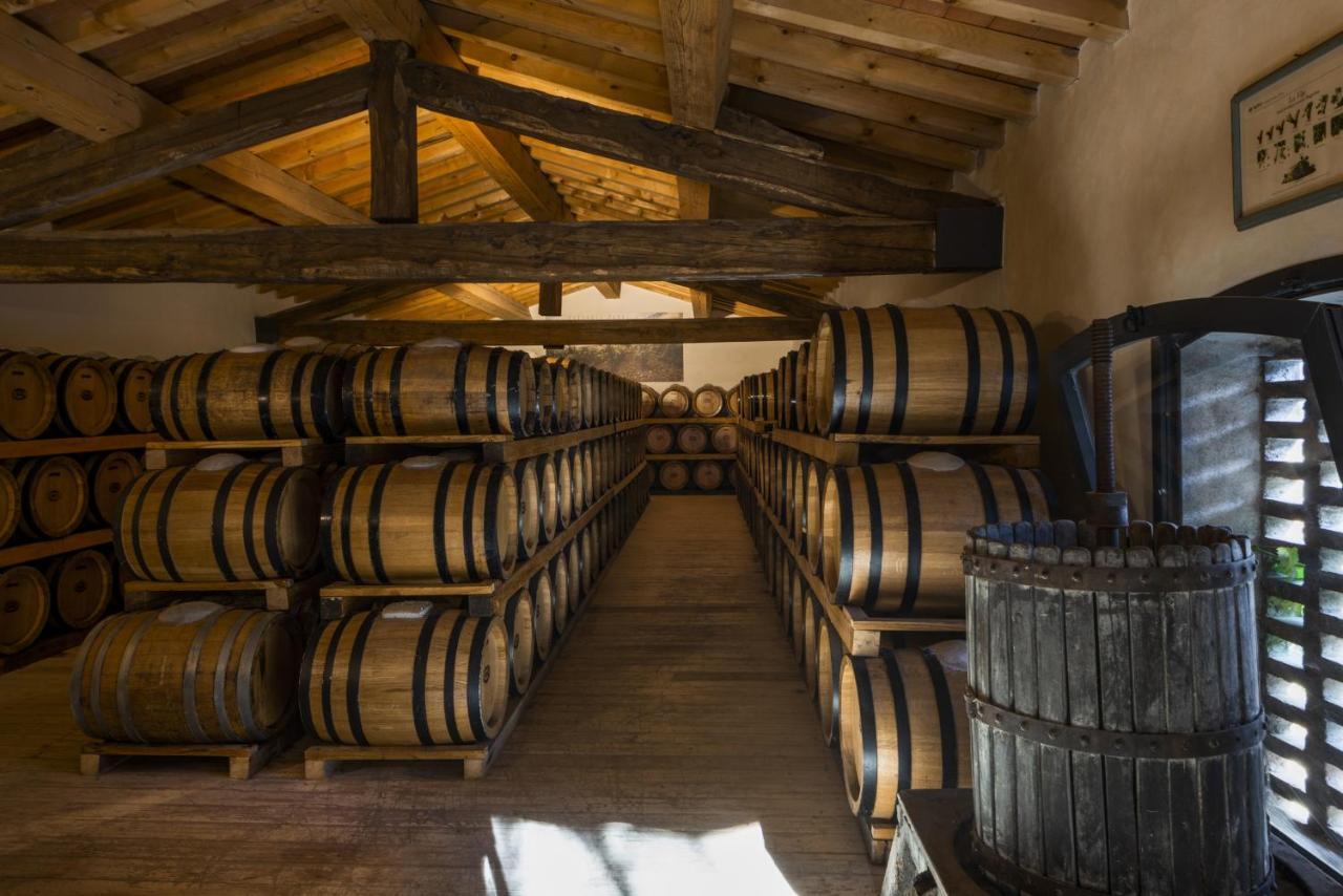 Torre A Cona Wine Estate Hotel San Donato in Collina Eksteriør billede